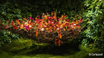 Bezoek aan de Floraliën in Gent