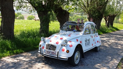 Davidsfonds viert! Hop met de Geit & Fotozoektocht